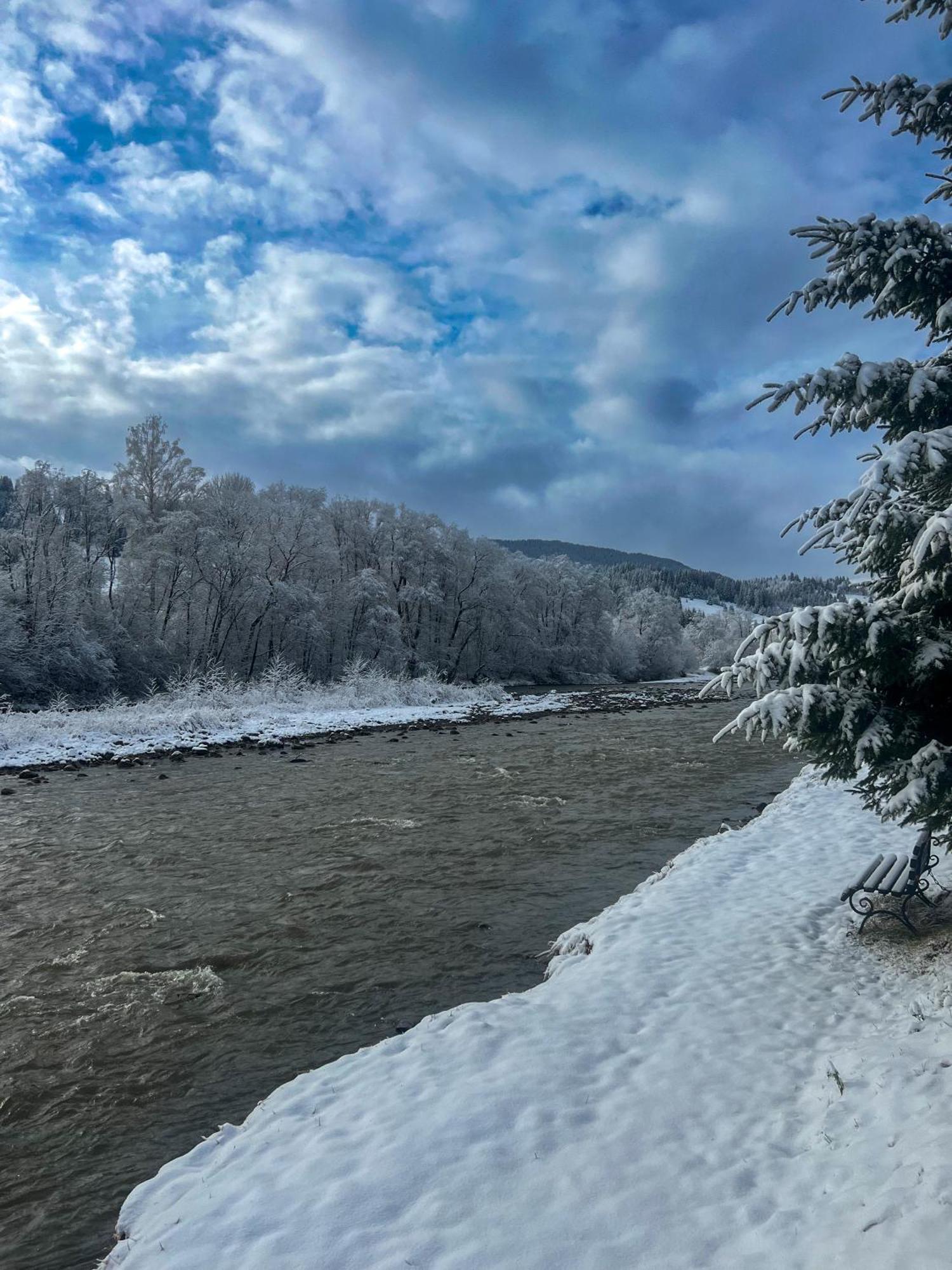 Котедж Шум Черемоша На Березі Річки Verkhovyna Esterno foto