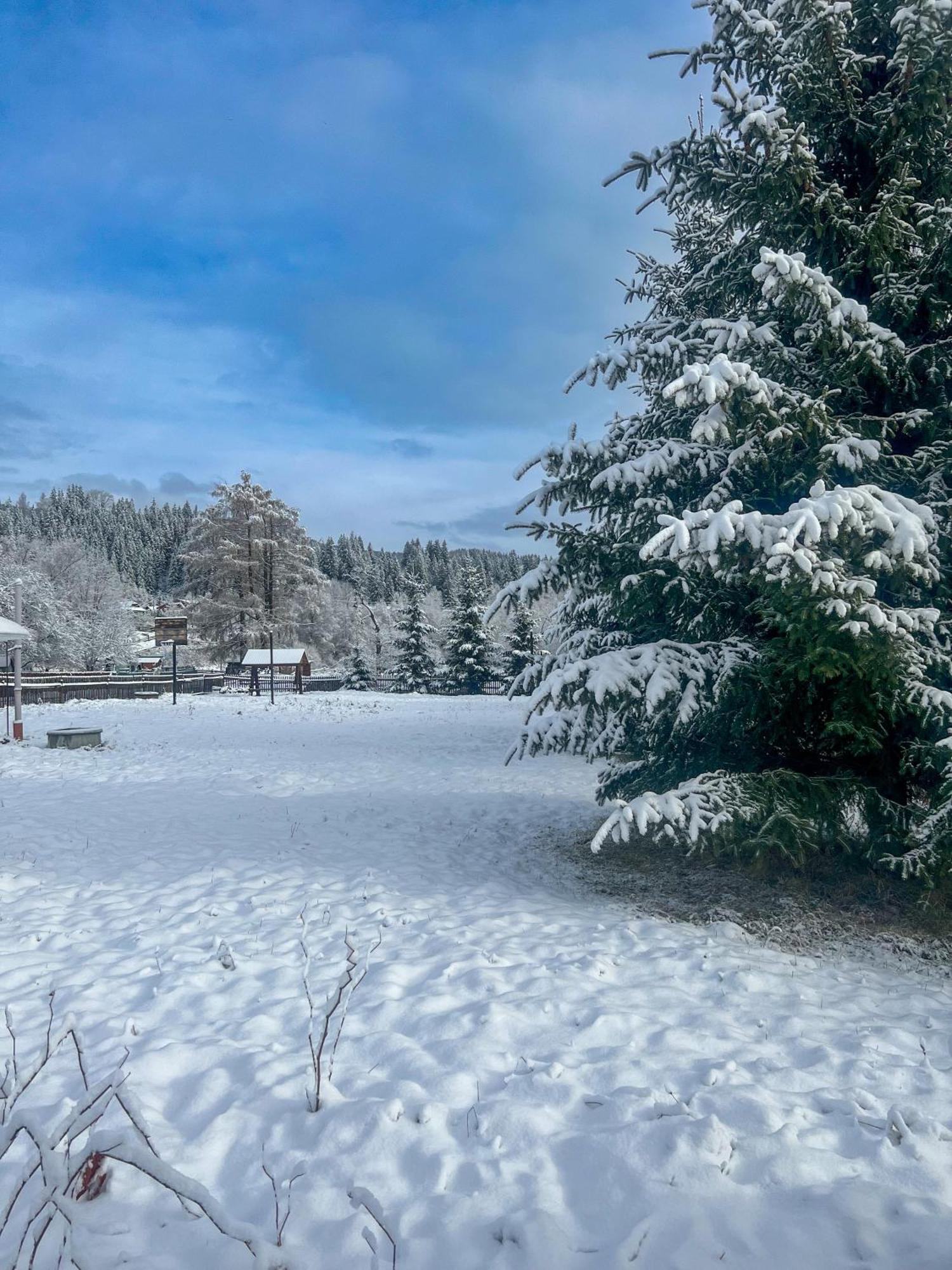 Котедж Шум Черемоша На Березі Річки Verkhovyna Esterno foto